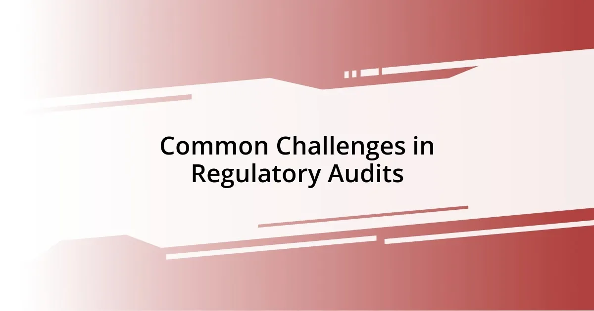 Common Challenges in Regulatory Audits